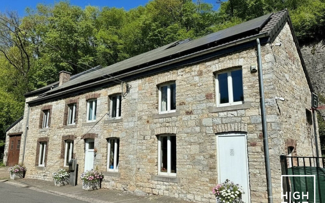 Propriété ardennaise de caractère, potentiel multiple à Esneux !